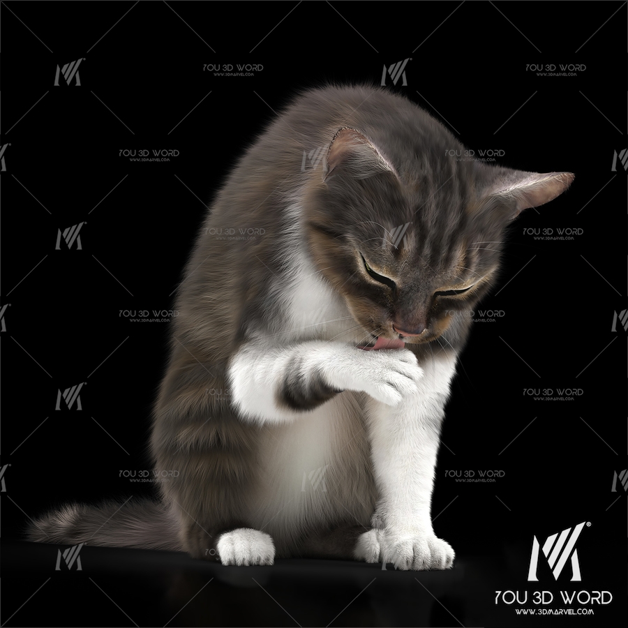 Modern animal cat 3d model